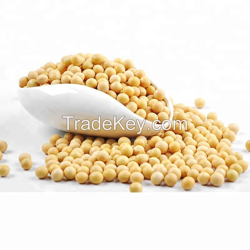 High Quality and Best Selling Soybean seeds