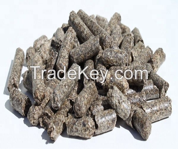 High Quality Dry Sugar Beet Pulp