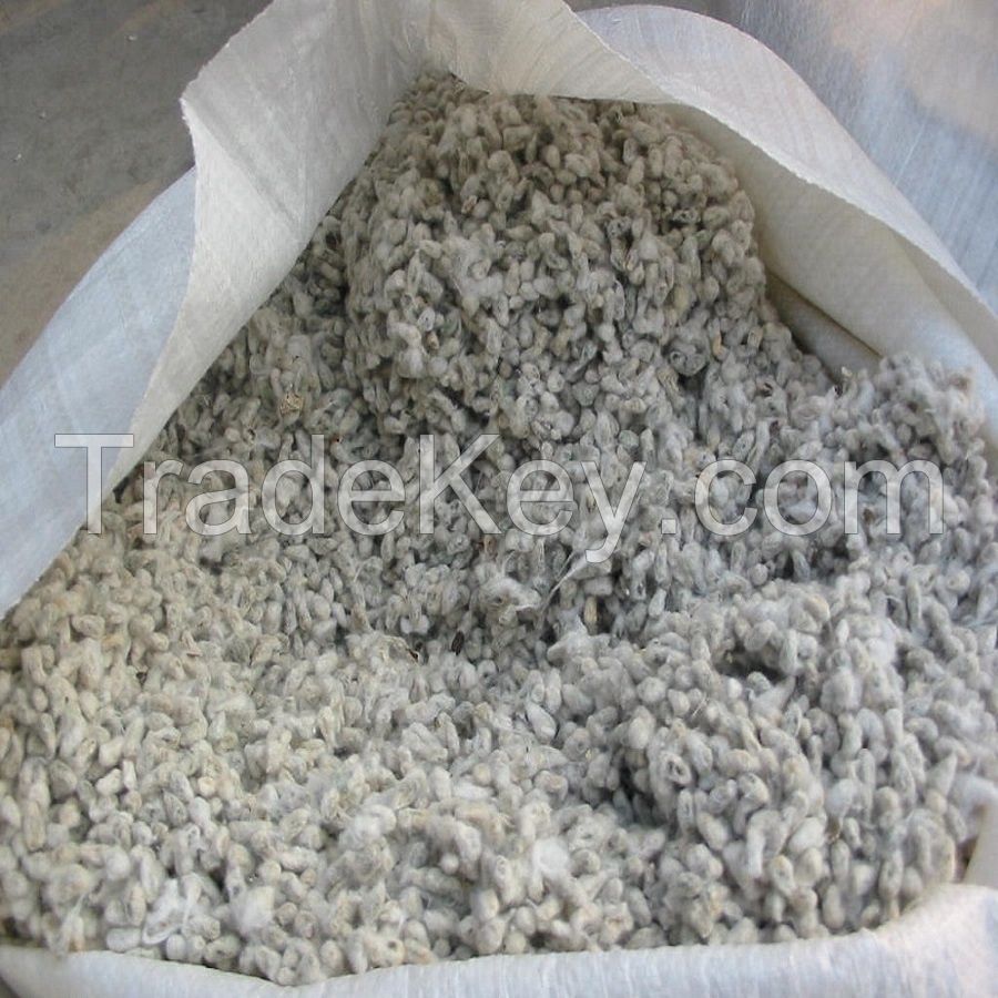 Grade A Cotton Seed for sale