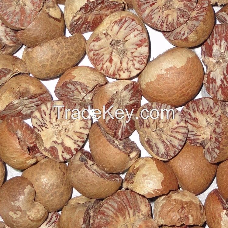 High Quality Betel Nuts