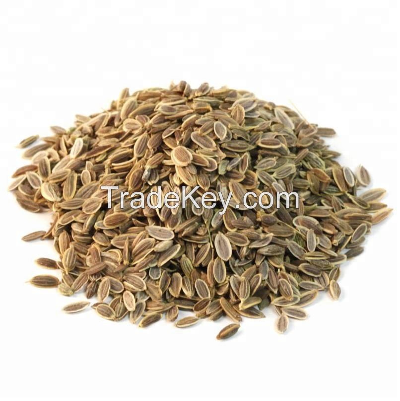 Non-gmo Dill Seeds
