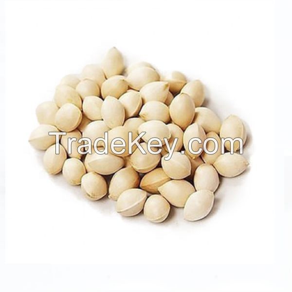 Best Grade Quality Ginkgo Nuts