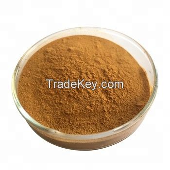 Nature Organic Maca Root Extract Powder