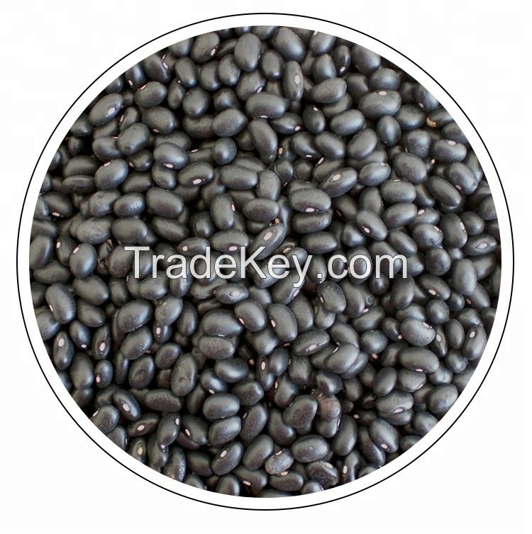 Cheap price: Black Beans