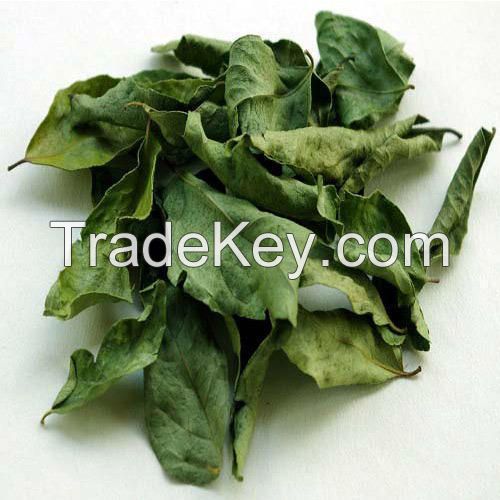 Dried Curry Leaf