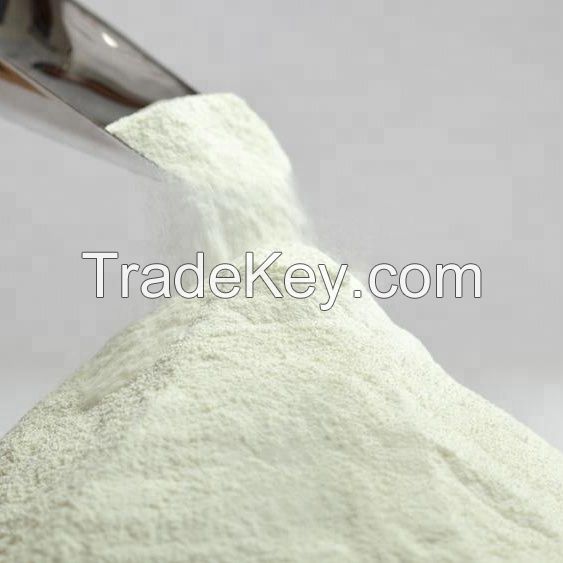 Wholesale in bulk skimmed milk powder with best price