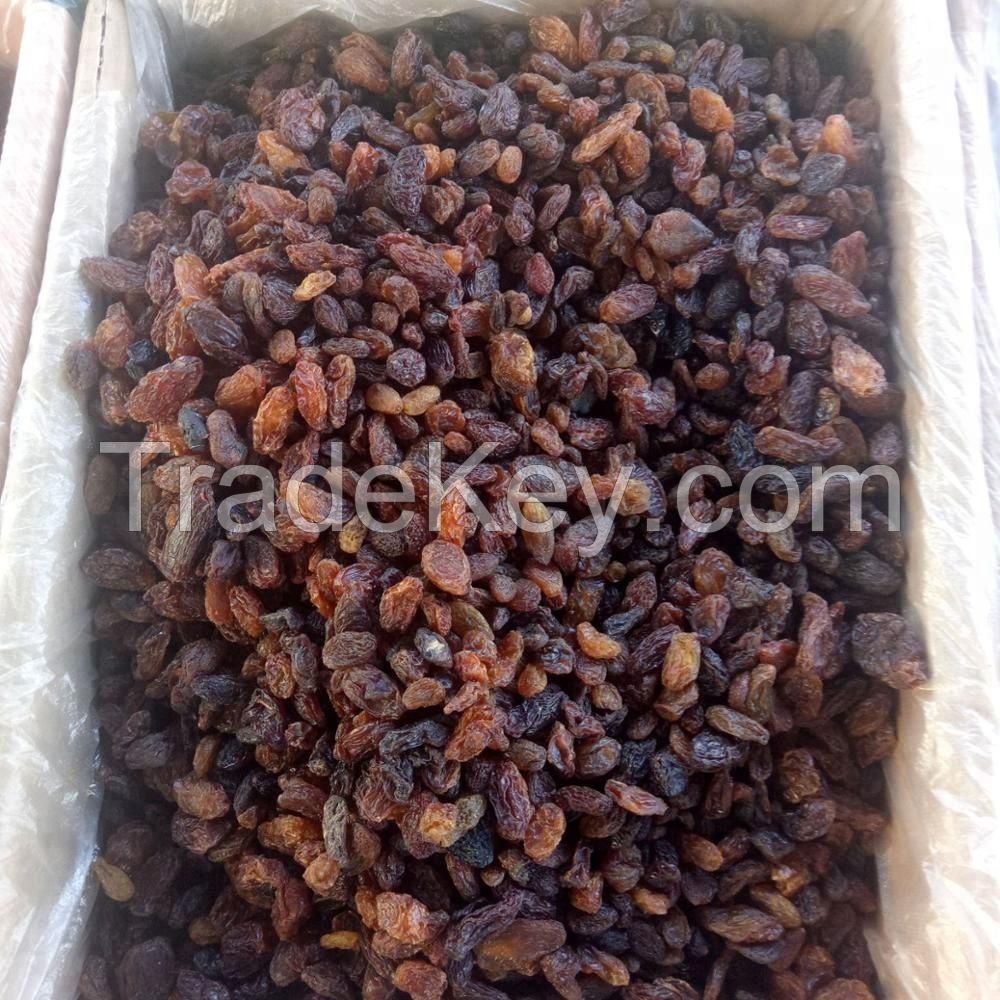 High Quality Low Price Dried Organic Sultanas