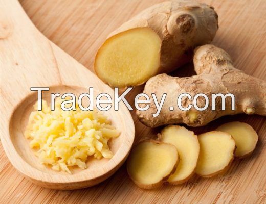 Good and Cheap Fresh and Dried ginger