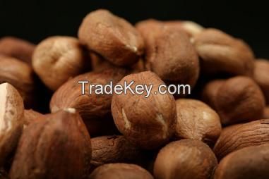 Bitter Kola (Garcinia Kola) nuts discount offer