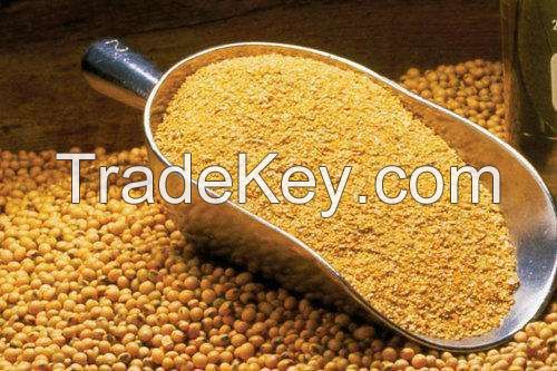 Soybean Meal for Sale