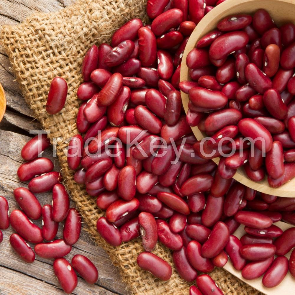 A Grade Fresh Crop Premium Quality Dried Dark Red Kidney Beans for sale