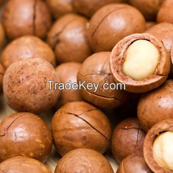 Macadamia Nut Without and in Shell / Organic Macadamia Nuts and Kernels