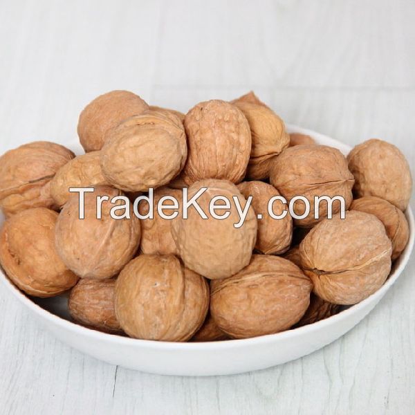 Original Raw Walnuts For Sale