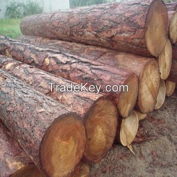 Cheap Doussie / Sapelli / Tali / Teak / Pachyloba Wood Logs