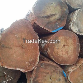 80cm diameter high quality wood logs ebony rosewood / tali logs