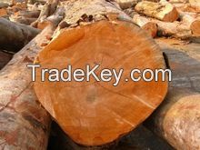 Okoume log and sawn timber