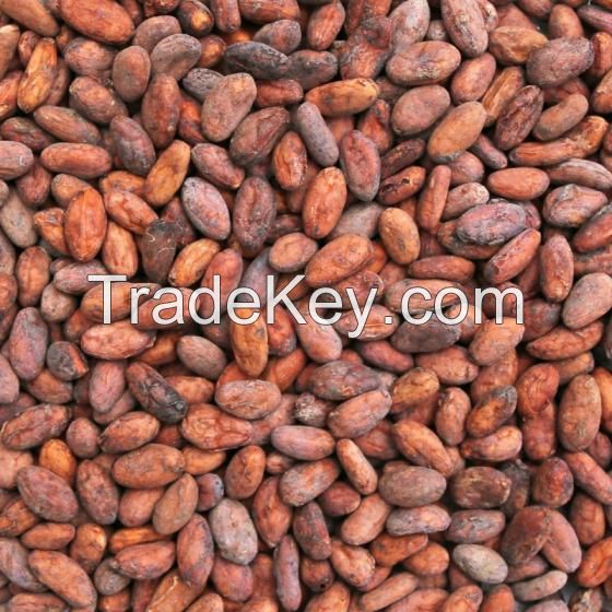 Raw Cocoa bean