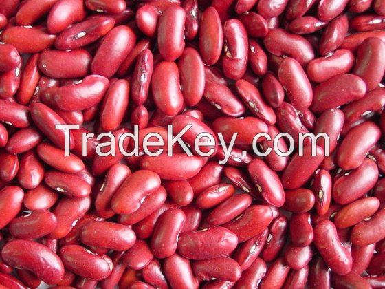 Red Kidney Beans Raw Kidney Beans