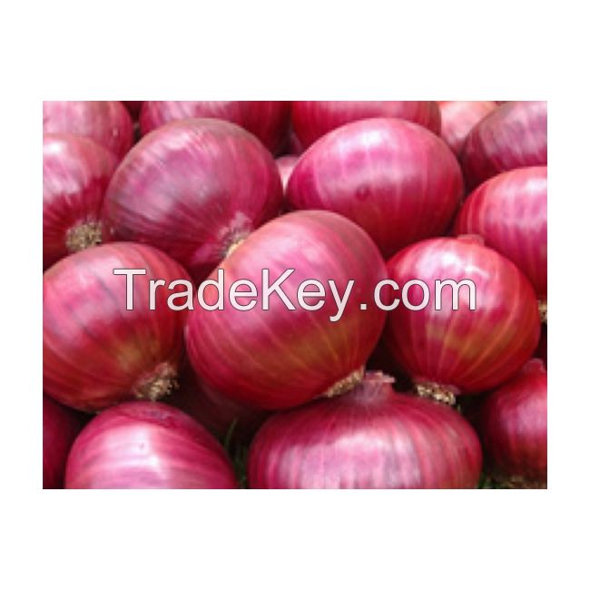 Export Quality Odourless Natural Fresh Red Onions