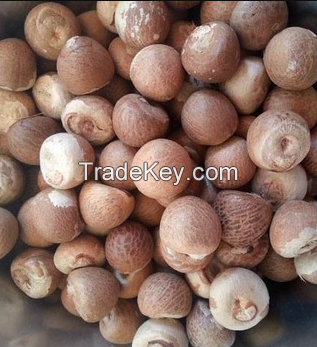 Dried Areca Nut-Whole and Split Betel Nut