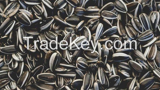 Best Quality Raw Sunflower Seeds