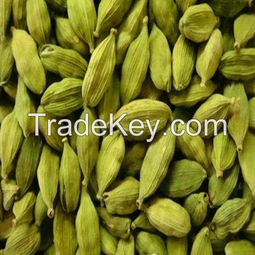 Green Cardamom with Best Quality