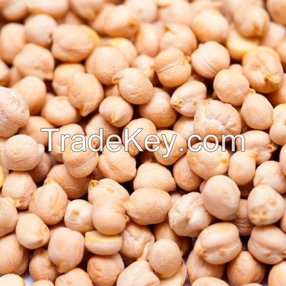 Chickpea Best Quality Healthy Dried Kabuli ChickPeas