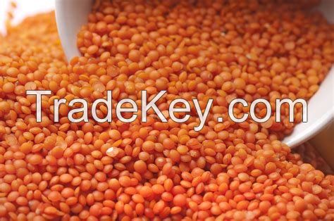 Whole and Split Lentils/Red Lentils/Green Lentils..... Best Grades Best Prices