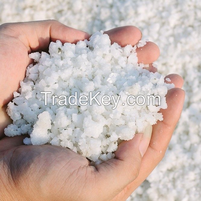 sell Natural Raw Salt