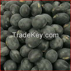 Nature Dried black soybean organic black bean