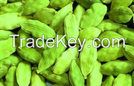 cardamom