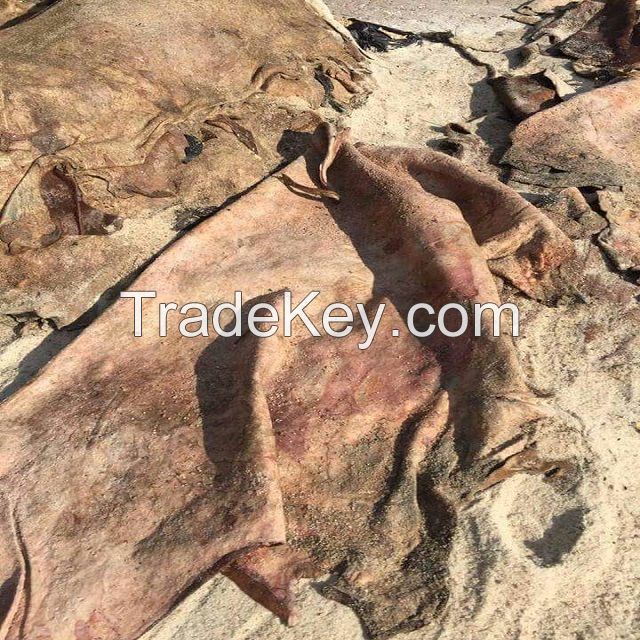 cattle hides