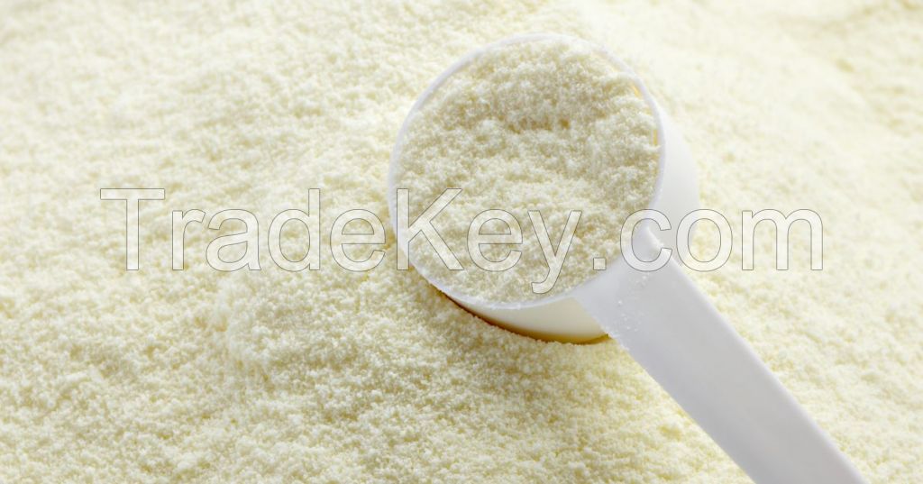 milk powder