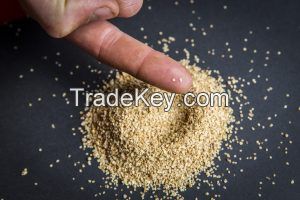 Sell Potato seeds exporters
