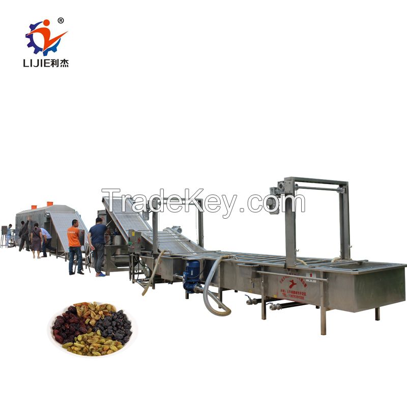 Full automatic raisin Full automatic raisin washing and drying machine raisin process line for food handling raisin process line for food handling