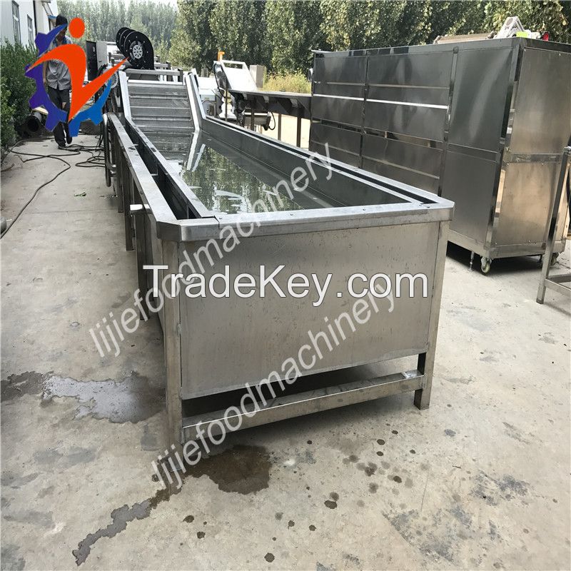 Industrial Air bubble lettuce/kale washing machine berries/blueberry cleaning machine