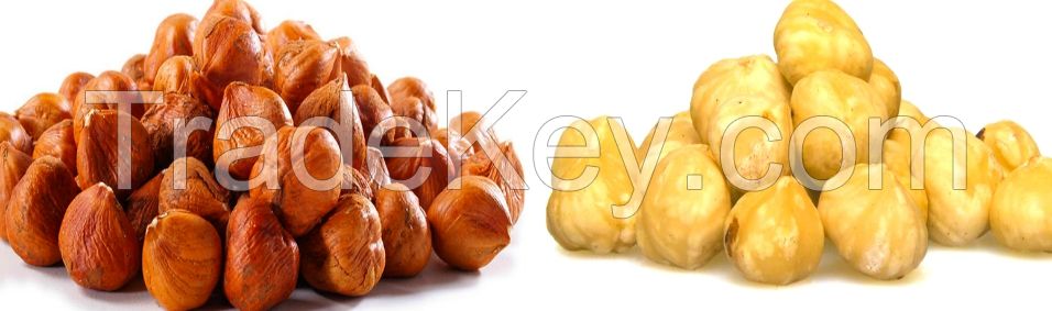 Organic Hazelnuts with or without skin
