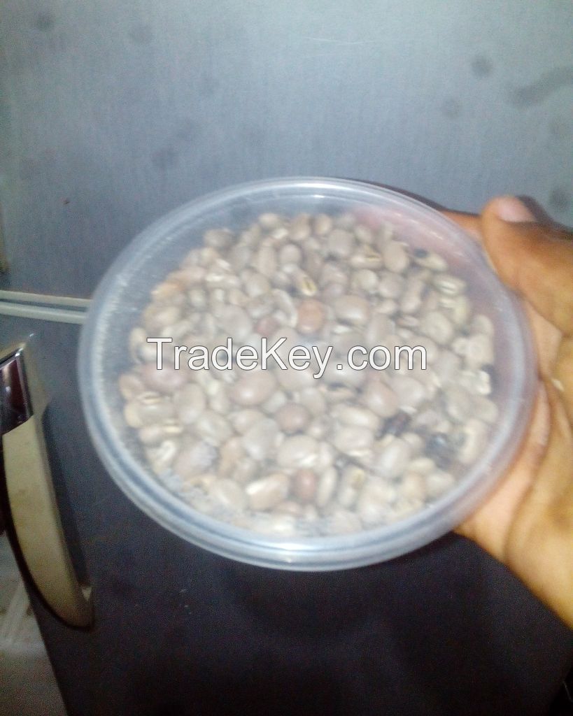 Mucuna Seeds/ Velvet Beans