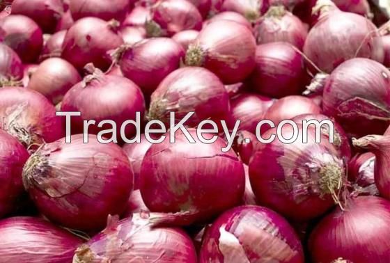Premium Quality Fresh Onions