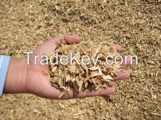 Pine Wood Chips