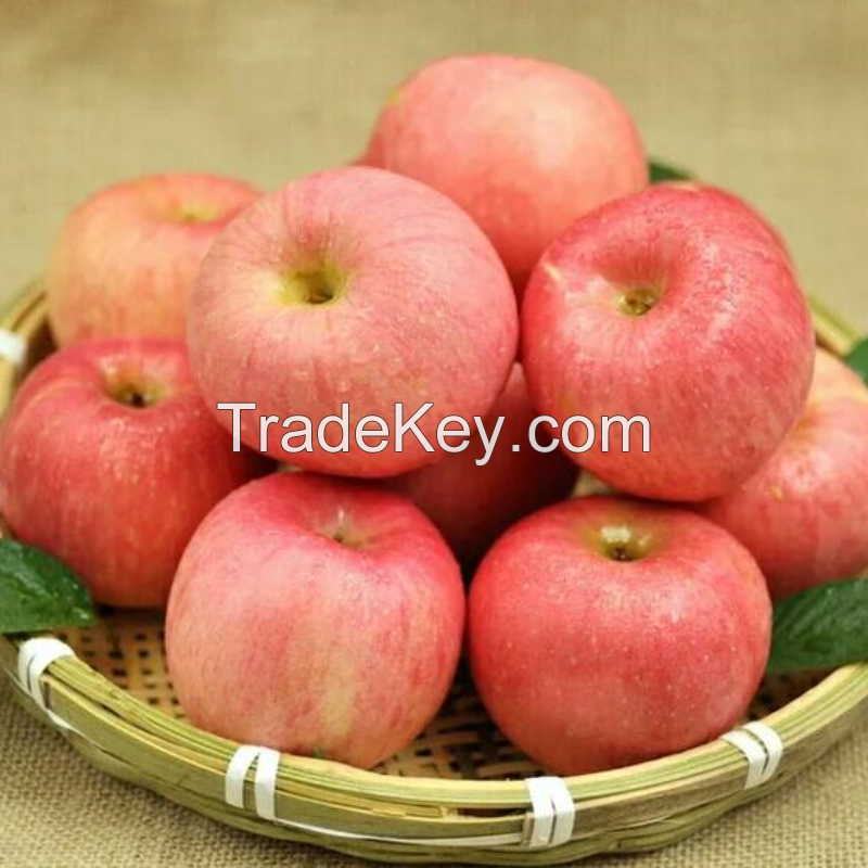 Export Fresh Red Apple Wholesale Juicy Fresh Apple