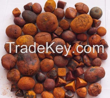 100% natural top Quality Ox Gallstones Cattle Gallstones Cow Gallstones for sale