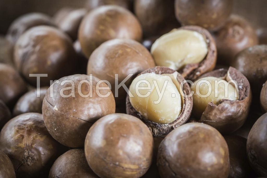 Macadamia Nuts