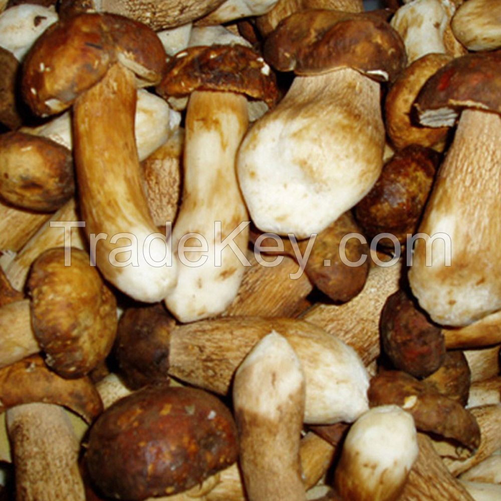 IQF raw wild boletus edulis mushroom