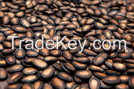 Melon Seeds/ Black Melon Seeds/ Water Melon Seeds