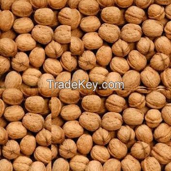 walnuts whole with shell