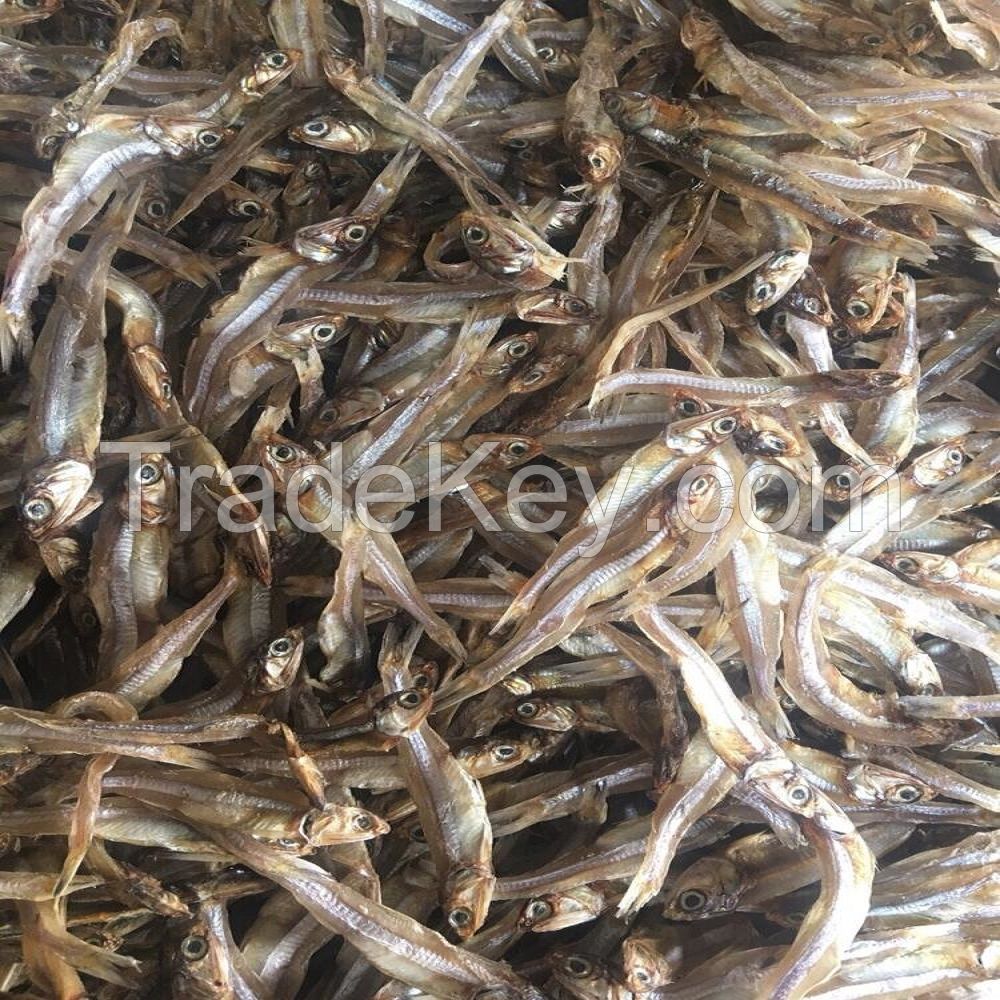 Dried Fish Dried Anchovy Fish Available