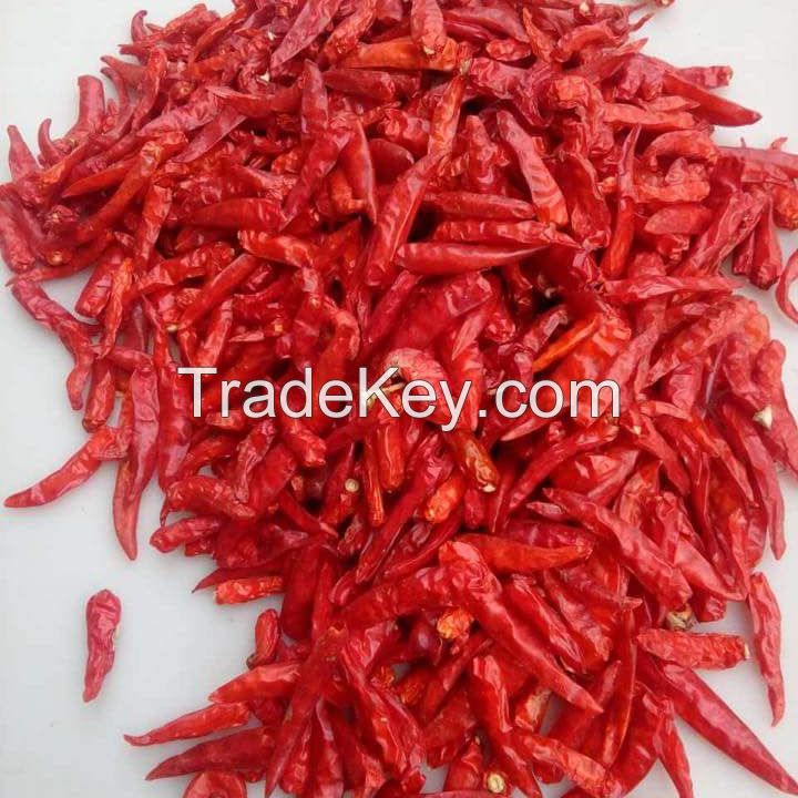 DRIED HOT CHILLI