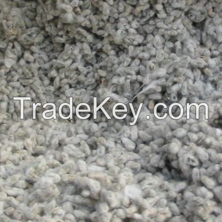 Quality Grade A Cotton Seeds