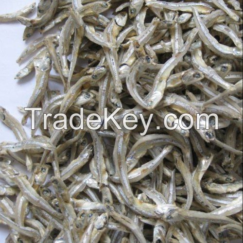 Lowest Price Dried Anchovy With High Quality